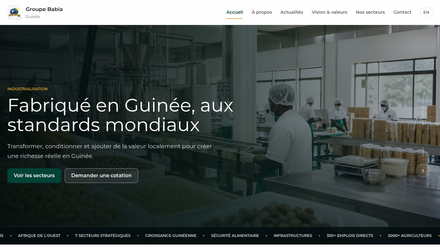 Aperçu de Groupe Babia Guinée